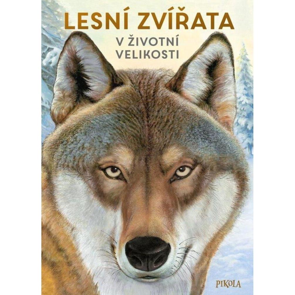 Pikola Wald Tiere in Lebensgrösse