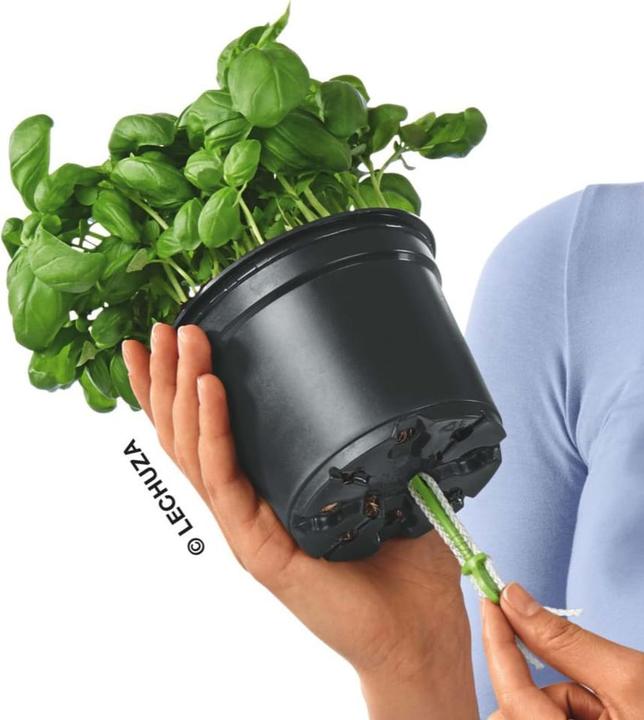 Image du produit Lechuza Ojo (21 x 15.80 cm)