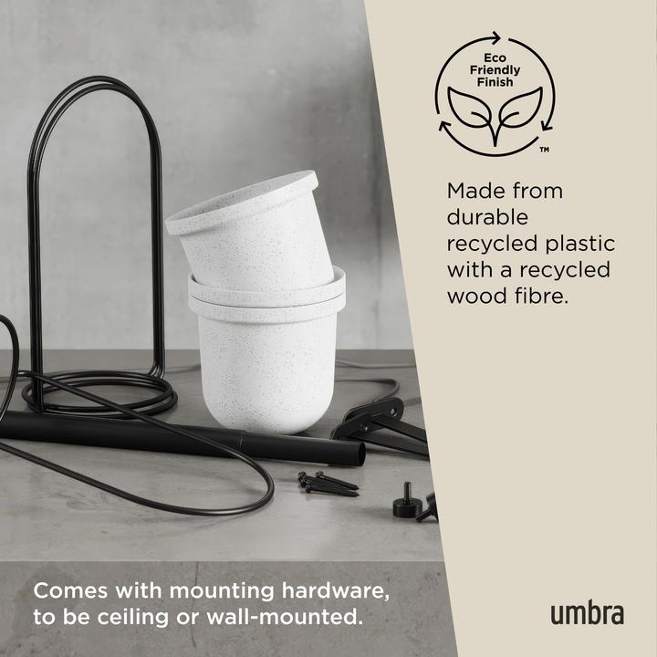 Produktbild Umbra Triflora (15 cm)