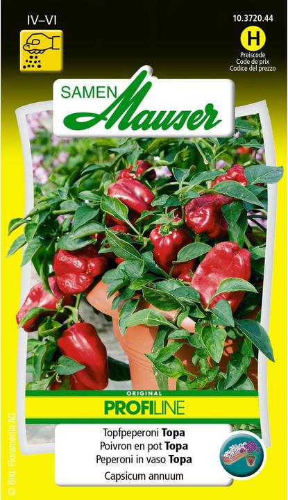 Image du produit Samen Mauser Poivrons (Graines de légumes)