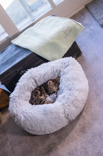 Actual product image Beeztees Vacuum (Cat)