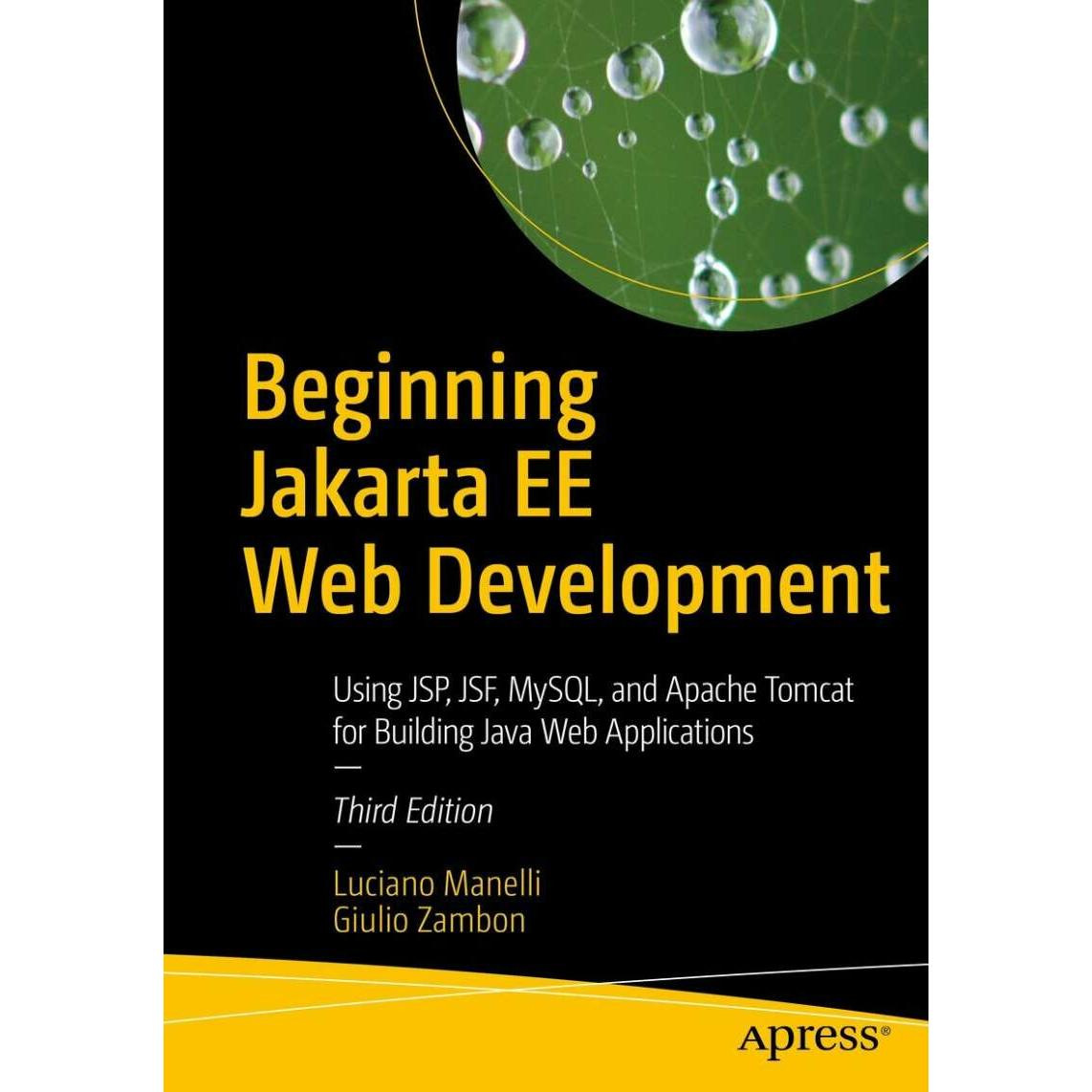 Beginning Jakarta EE Web Development, Fachbücher von Giulio Zambon, Luciano Manelli