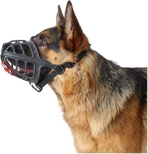 Actual product image Hunter Albury - Muzzle - 4 (Dog)