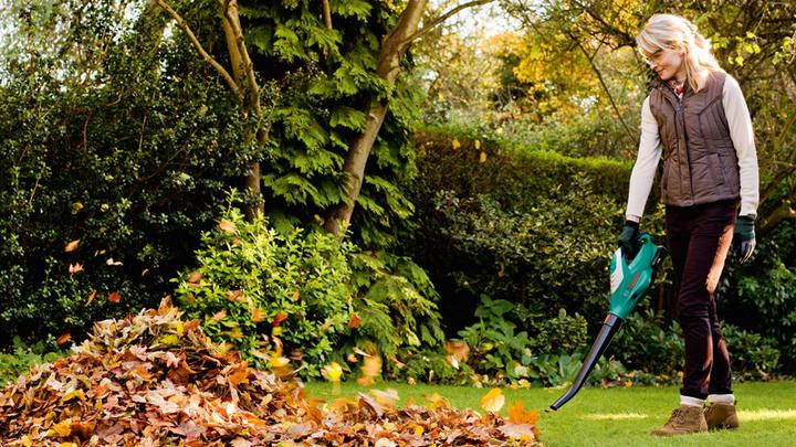 Produktbild Bosch Home & Garden Alb 18 (Akkubetrieb, Laubbläser)