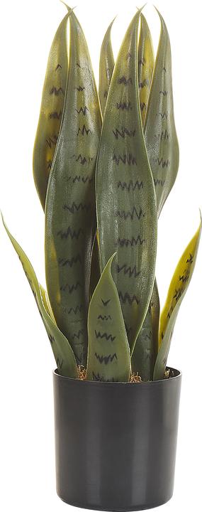 Immagine prodotto Beliani Snake Plant (40 cm)