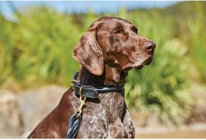 Produktbild Weatherbeeta Hundehalsband aus gerolltem Leder (L, Hund, Spazieren)
