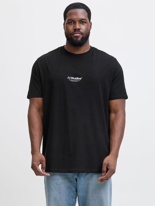 Actual product image Jack & Jones Jjesoho Tee Ss Crew Neck Noos Pls (4XL)