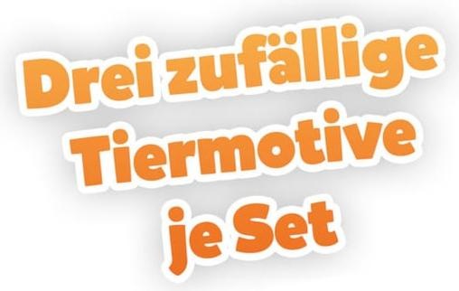 Produktbild Tigermedia Wildcard Swiss Edition (3 Stück mit je 120 Minuten) (Deutsch, Schweizerdeutsch)