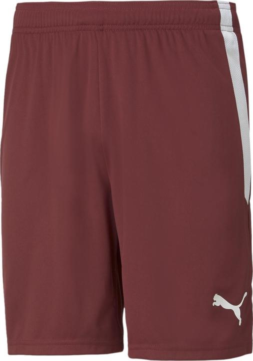 Actual product image Puma teamLIGA Shorts-704924 (60, 3XL)
