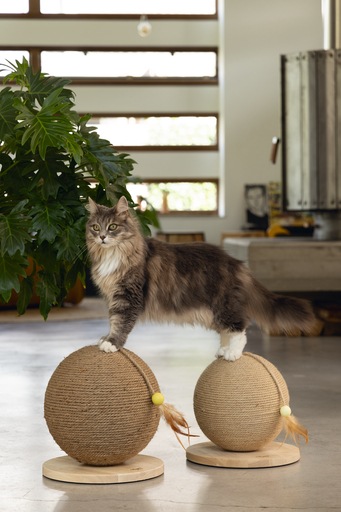 Actual product image Designed by Lotte Balty (27 cm, Brown)