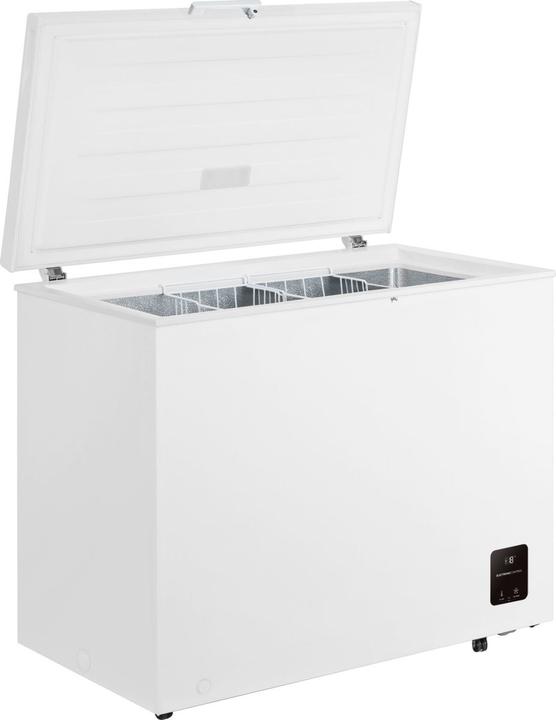 Immagine prodotto Gorenje FH25EAW (Struttura autonoma, 248 l)