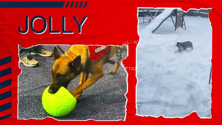 Actual product image Jolly Pets Soccer Ball 15cm Appel Green - (JOLL036D) (Ball toy dog)