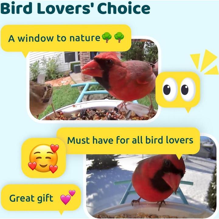 Produktbild Birdfy Futterspender Basic Solar