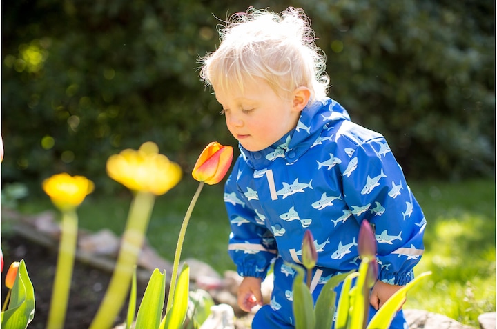 Produktbild Playshoes Regenbekleidungsset Hai Gr. 104 (104)