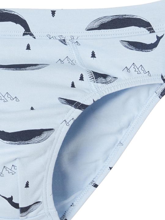 Immagine prodotto Vertbaudet 7er-Pack Jungen Slips mit Bio-Baumwolle, Wale (110, Confezione da 7)