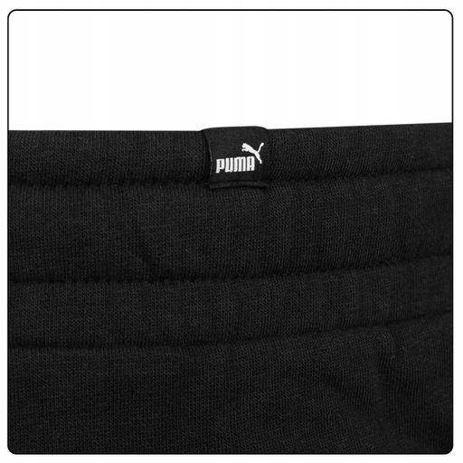 Actual product image Puma ESS+ 2 Col Logo Pants TR cl (M)