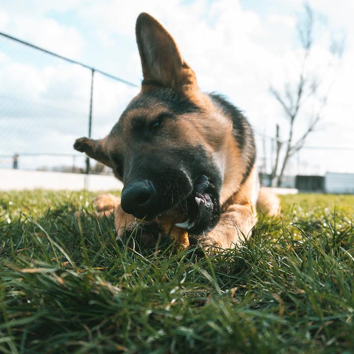 Produktbild EBI Aqua Della Korean Cottage (Dekoration, Gebäude)