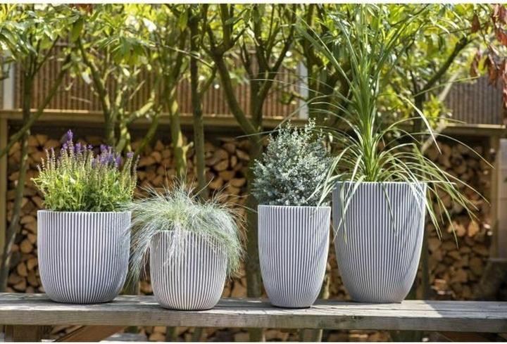 Produktbild Capi Morgan (35 x 34 cm)