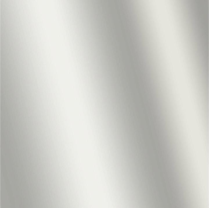 Produktbild Amsterdam Acrylfarbe Standard Series 800 (Silber, 120 ml)