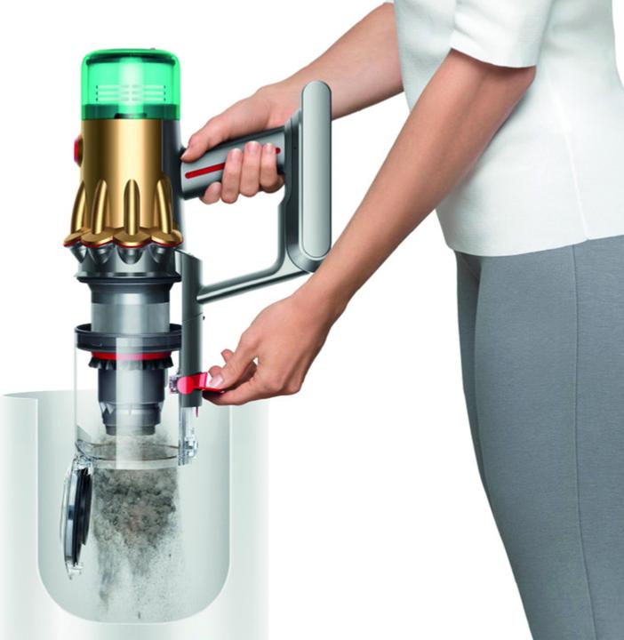 Actual product image Dyson V12 Detect Slim Absolute Gold