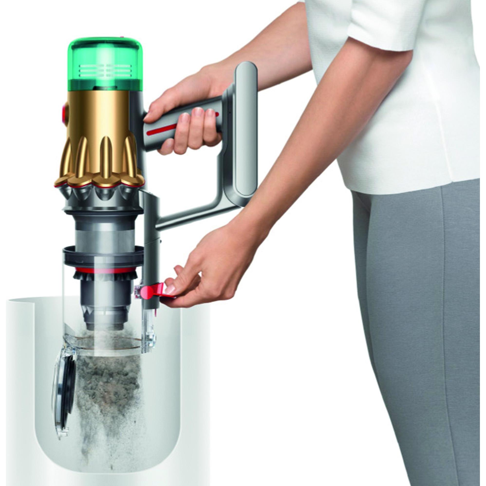 Dyson V12 Detect Slim Absolute Gold - kaufen bei Digitec