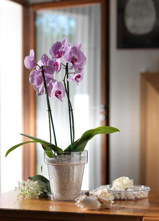 Produktbild Herstera Porto