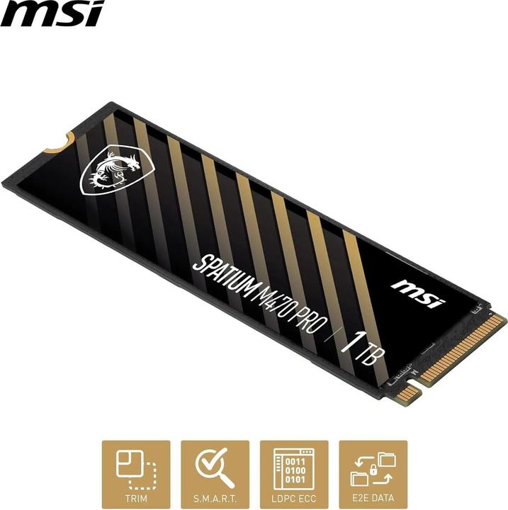 Actual product image MSI Spatium M470 Pro (1000 GB, M.2 2280)