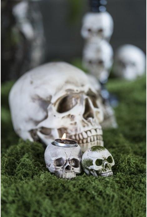 Actual product image Chaks Crâne - Tête de mort