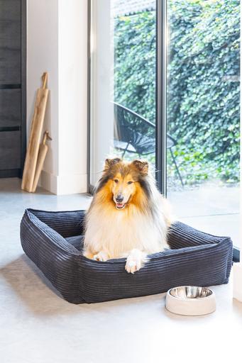 Actual product image Designed by Lotte Ribbed (Dog)