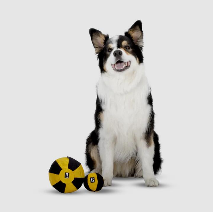 Image du produit Redoggo Ball Aktivspielzeug Gross (Jouet à balle chien)