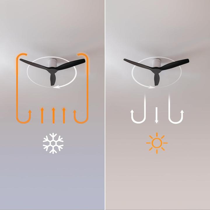 Actual product image Cecotec Energy Efficient DC Ceiling Fan with WiFi, Remote, Timer, and Summer Winter Modes