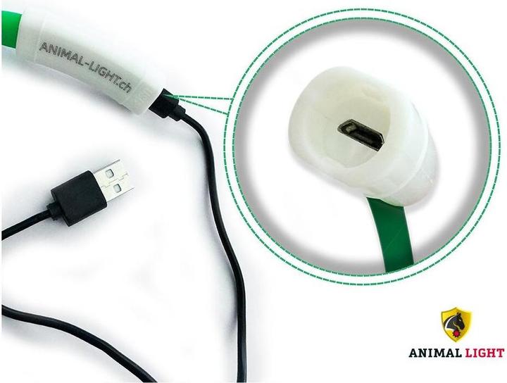 Produktbild Animal Light Leucht-Halsriemen Flex