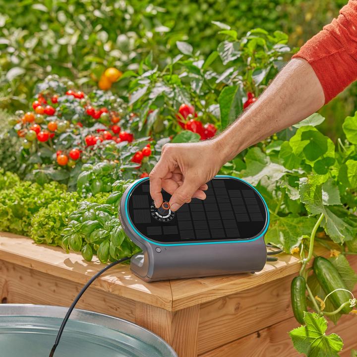 Productafbeelding Gardena Solar-Bewässerung AquaBloom L Set (Set druppelirrigatie)