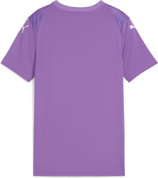 Actual product image Puma teamULTIMATE Jersey Jr (140)