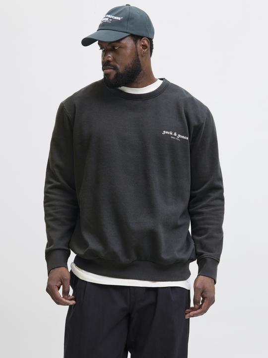 Actual product image Jack & Jones Plus Size Gedruckt Sweatshirt Sweatshirt (4XL)