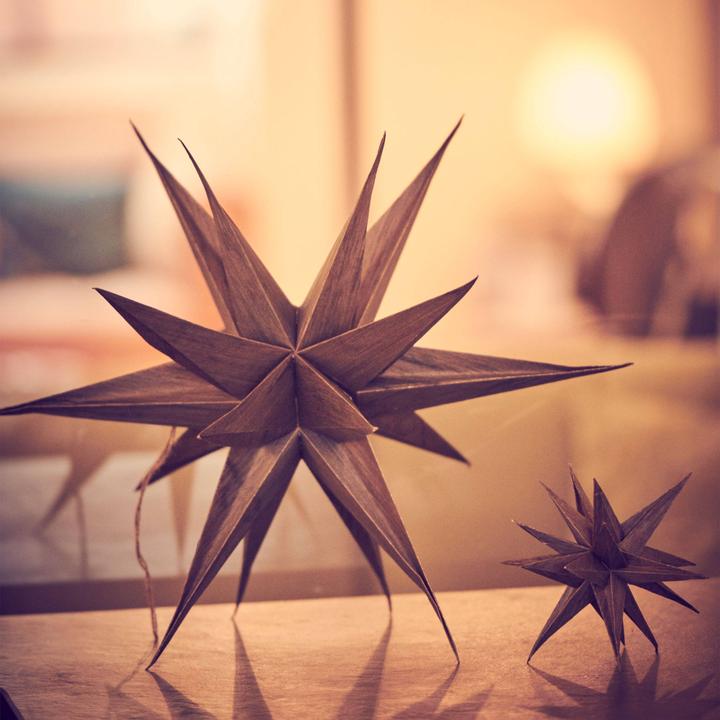 Image du produit Broste Copenhagen Vénus Étoile de Noël (1 x)