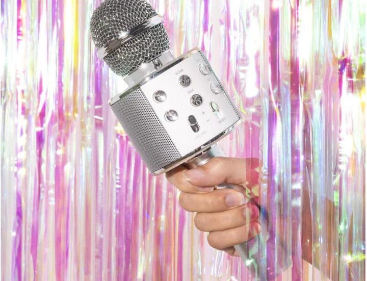 Actual product image TOP Karaoke microphone