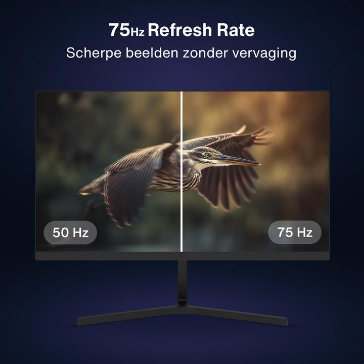 Produktbild Dahua LM24-B201S - Full HD IPS Monitor - 75 Hz - 24 inch (1920 x 1080 Pixel, 23.80")