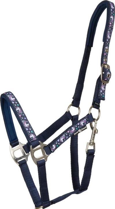 Immagine prodotto Horse Guard Fantasy