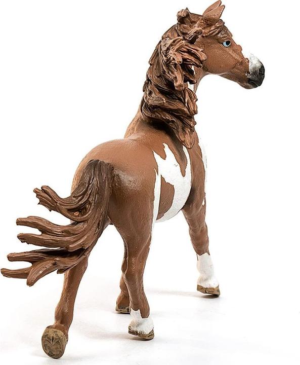 Produktbild Schleich Pinto-Hengst