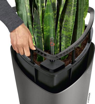 Actual product image Lechuza Delta (39 x 75.50 cm)