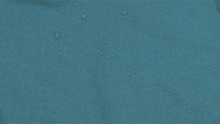 Actual product image Robens Pioneer 3EX (Tunnel tent, 3.20 kg, 3 persons)