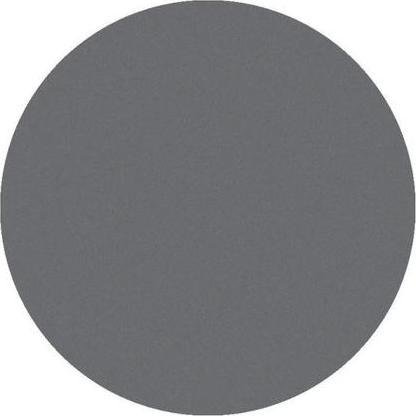 Actual product image Parisax Matte Eyeshadow Light Gray - Professional Quality