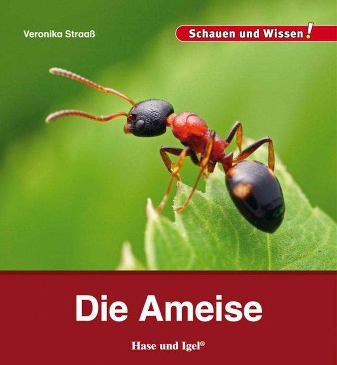 Produktbild Die Ameise (Deutsch, Veronika Straass, 2016)
