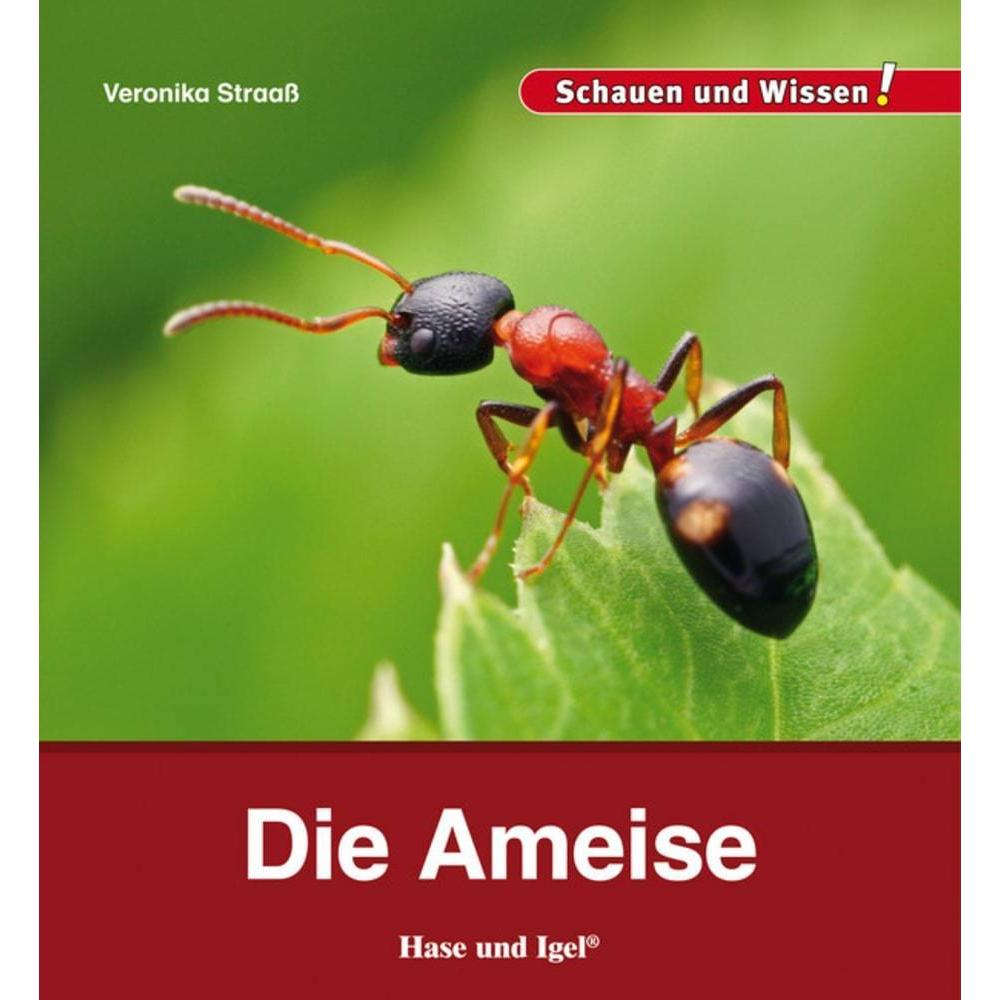 Die Ameise, Schulbücher von Veronika Straass