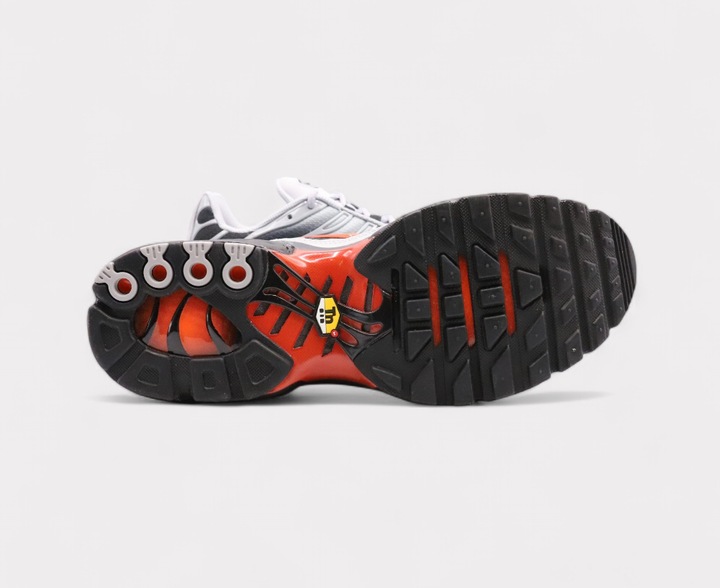Actual product image Nike Air Max Plus (46)