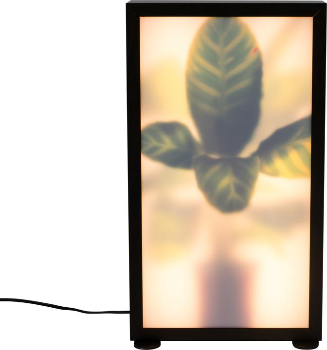 Produktbild Zuiver Grow (LED, 230 V)