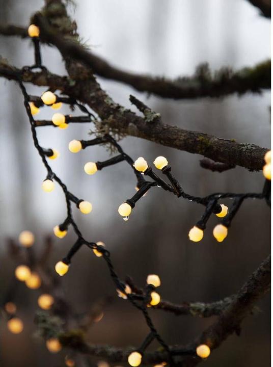 Actual product image Star Trading Berry Mini (6 m)