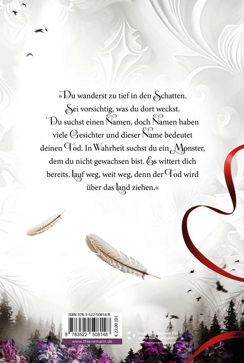 Produktbild Planet Die Sonnenfeuer-Ballade 2: A Storm to Kill a Kiss (Deutsch, Julia Dippel, 2024)