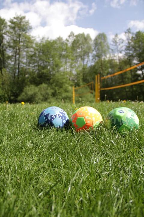 Immagine prodotto Schildkröt Beachsoccer (5)